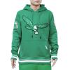 Pro Standard Mens NFL Retro Classics Brushed Back French Terry Pull Over Hoodie(Kelly Green)