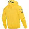 Pro Standard Mens NHL Classic Chenille Pull Over Hoodie(Yellow)