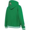 Pro Standard NBA boys Big Boys Nba Retro Classics Fleece Pull Over Hoodie(Kelly Green)