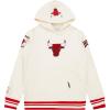 Pro Standard NBA boys Big Boys Nba Retro Classics Fleece Pull Over Hoodie(Eggshell/ Red)