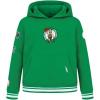 Pro Standard NBA boys Big Boys Nba Retro Classics Fleece Pull Over Hoodie(Kelly Green)