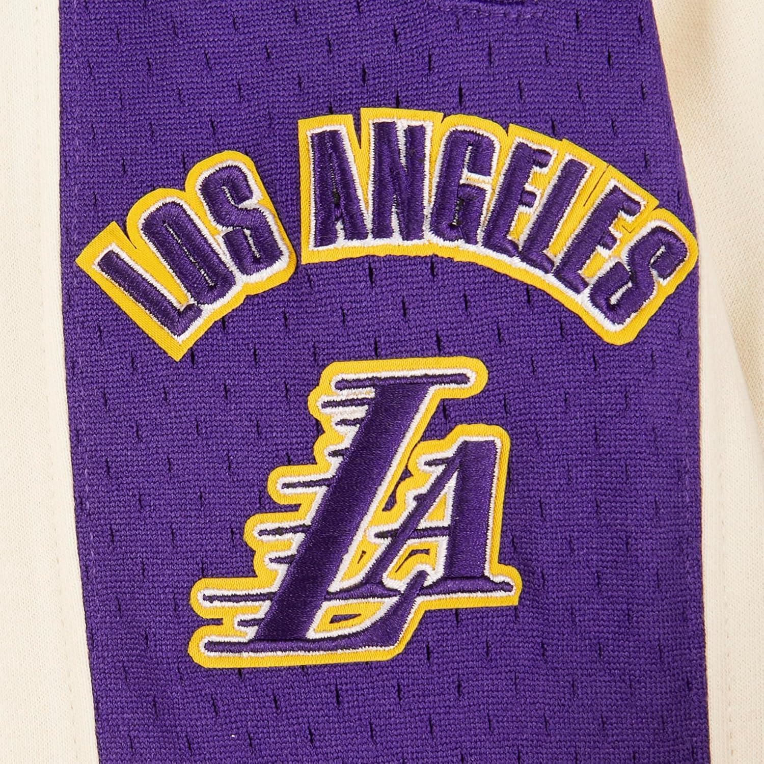imageBig Boys NBA Retro Classics Fleece Athletic ShortEggshell Purple