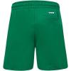 Big Boys NBA Retro Classics Fleece Short(Kelly Green)