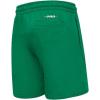 Big Boys NBA Retro Classics Fleece Short(Kelly Green)