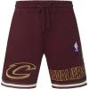 Mens NBA Classic Chenille Athletic Short(Wine)