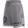 Mens NFL Classic Chenille Cotton Double Knit Short(Gray)