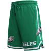 Mens NFL Classic Chenille Cotton Double Knit Short(Kelly Green)