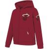 Pro Standard Big Boys NBA Classic Chenille Fleece Full Zip Hoodie(Cardinal Red)