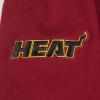 Pro Standard Big Boys NBA Classic Chenille Fleece Full Zip Hoodie(Cardinal Red)