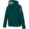 Pro Standard Big Boys NBA Classic Chenille Fleece Full Zip Hoodie(Forest Green)