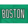 Pro Standard Big Boys NBA Classic Chenille Fleece Full Zip Hoodie(Kelly Green)