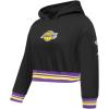Pro Standard Big Girls NBA Retro Classics Fleece Pull Over Hoodie(Black/Purple)