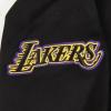 Pro Standard Big Girls NBA Retro Classics Fleece Pull Over Hoodie(Black/Purple)