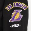 Pro Standard Big Girls NBA Retro Classics Fleece Pull Over Hoodie(Black/Purple)