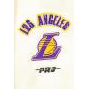 Pro Standard Big Girls NBA Retro Classics Fleece Pull Over Hoodie(Eggshell/ Purple)