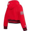 Pro Standard Big Girls NBA Retro Classics Fleece Pull Over Hoodie(Red/Black)