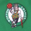 Pro Standard NBA boys Big Boys Nba Classic Chenille Fleece Pull Over Hoodie(Kelly Green)
