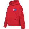 Pro Standard NBA boys Big Boys Nba Classic Chenille Fleece Pull Over Hoodie(Red)