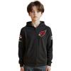 Pro Standard Big Boys NFL Classic Chenille Full Zip Hoodie(Black)