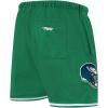 Pro Standard Mens NFL Mesh Short(Kelly Green)