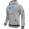Pro Standard Mens NFL Team Pennants Brushed Back French Terry Pull Over Hoodie(Grey)
