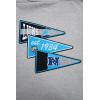 Pro Standard Mens NFL Team Pennants Brushed Back French Terry Pull Over Hoodie(Grey)