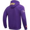 Pro Standard Mens WNBA Classic Chenille Pull Over Hoodie(Purple)