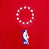 Pro Standard Womens NBA Classic Chenille Pull Over Hoodie(Red)