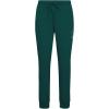 Pro Standard Womens NFL Arizona Cardinals Classic Chenille Sweatpant Black L(Forest Green)