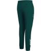 Pro Standard Womens NFL Arizona Cardinals Classic Chenille Sweatpant Black L(Forest Green)