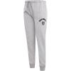 Pro Standard Womens NFL Arizona Cardinals Classic Chenille Sweatpant Black L(Heather Grey)