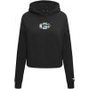Pro Standard Womens NFL Wingspan Cropped Pullover Hoodie(Black)