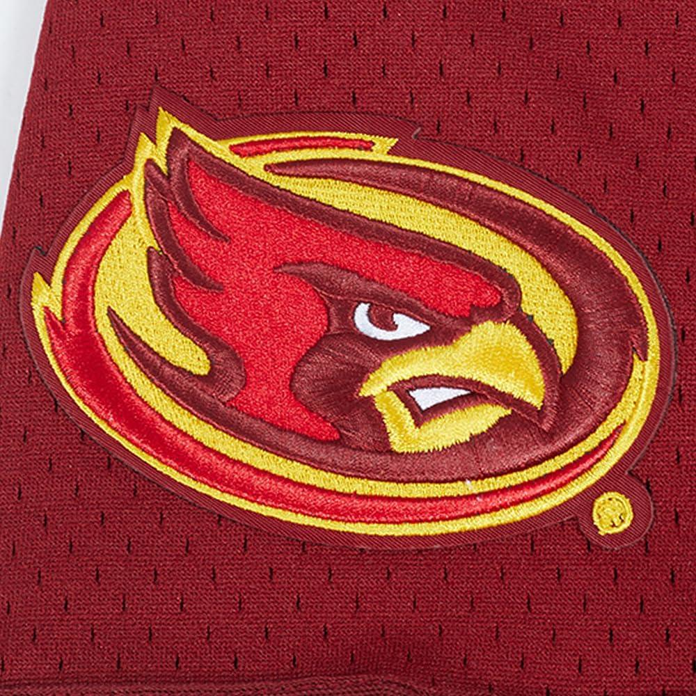 imagePro Standard Mens College Mesh Button Down TopTeam Color