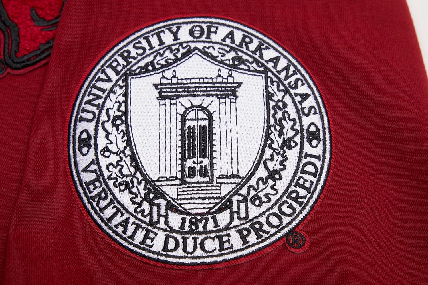 imagePro Standard NCAA mens Mens College Classic Chenille Cotton Double Knit Pull Over HoodieCardinal Red