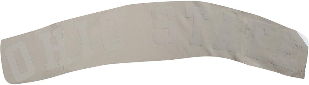 imagePro Standard NCAA mens Mens College Wingspan Fleece Pull Over HoodieTaupe