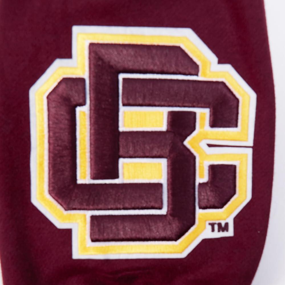 imagePro Standard NCAA mens Mens College Wingspan Fleece Pull Over HoodieWine