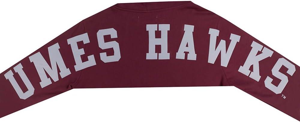 imagePro Standard NCAA mens Mens College Wingspan Fleece Pull Over HoodieWine