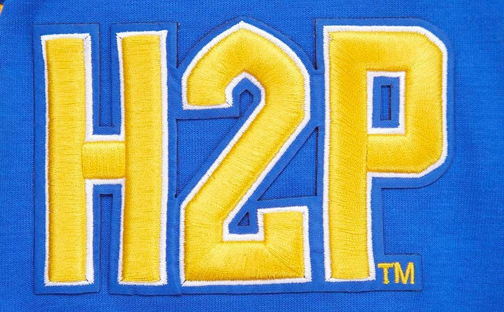 imagePro Standard NCAA mensMale Mens College Classic Chenille Cotton Double Knit Pull Over HoodieRoyal Blue