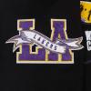 Pro Standard Mens NHL Paint The City Fleece Pull Over Hoodie(Black/Purple)