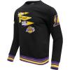 Pro Standard Mens NHL Paint The City Fleece Pull Over Hoodie(Black/Purple)
