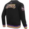 Pro Standard Mens NHL Paint The City Fleece Pull Over Hoodie(Black/Purple)