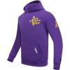 Pro Standard Mens NHL Paint The City Fleece Pull Over Hoodie(Purple)