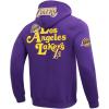 Pro Standard Mens NHL Paint The City Fleece Pull Over Hoodie(Purple)