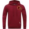 Pro Standard NCAA mens Mens College Classic Chenille Cotton Double Knit Pull Over Hoodie(Cardinal Red)