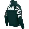 Pro Standard NCAA mens Mens College Wingspan Fleece Pull Over Hoodie(Forest Green)