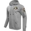 Pro Standard NCAA mens/Male Mens College Classic Chenille Cotton Double Knit Pull Over Hoodie(Gray)