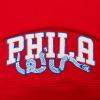 Pro Standard Womens NBA Classic Chenille Cropped Pullover Hoodie(Red)