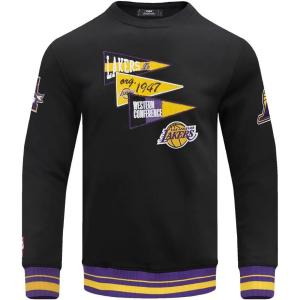 Pro Standard Mens NHL Paint The City Fleece Pull Over Hoodie(Black/Purple)