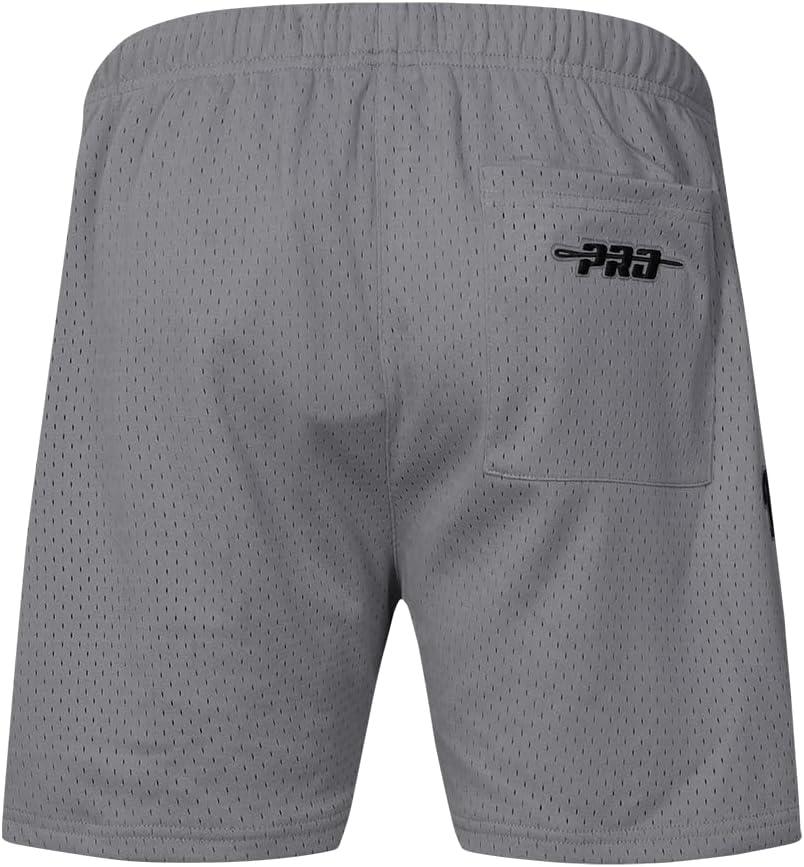 imagePro Standard Mens NFL Souvenir Mesh ShortGray