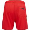Pro Standard Mens NFL Souvenir Mesh Short(Red)
